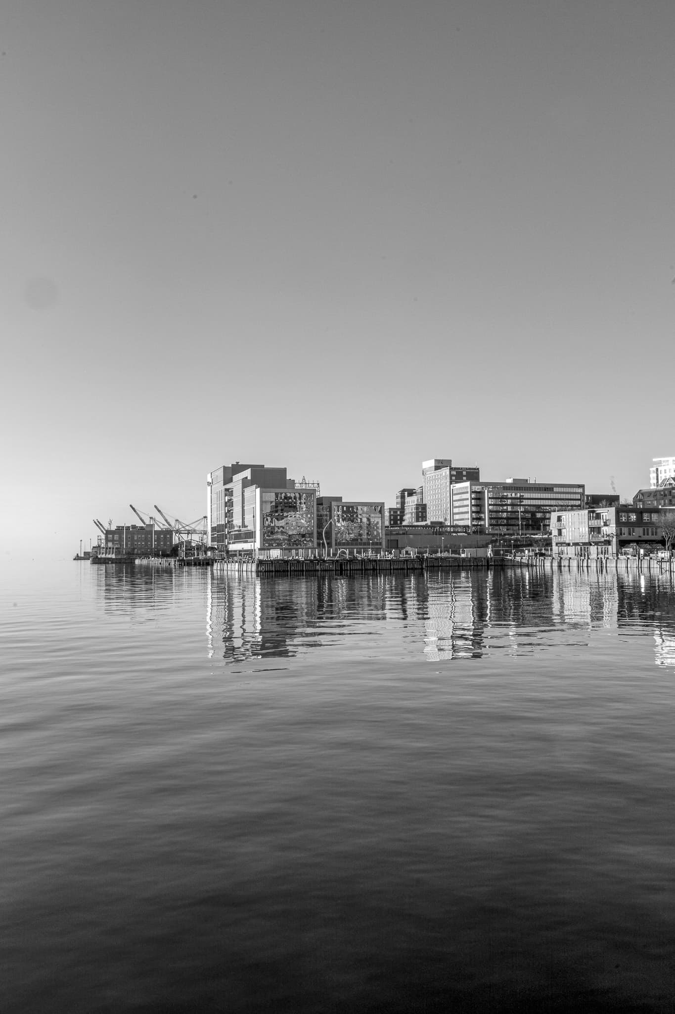 Digital Adoption Program